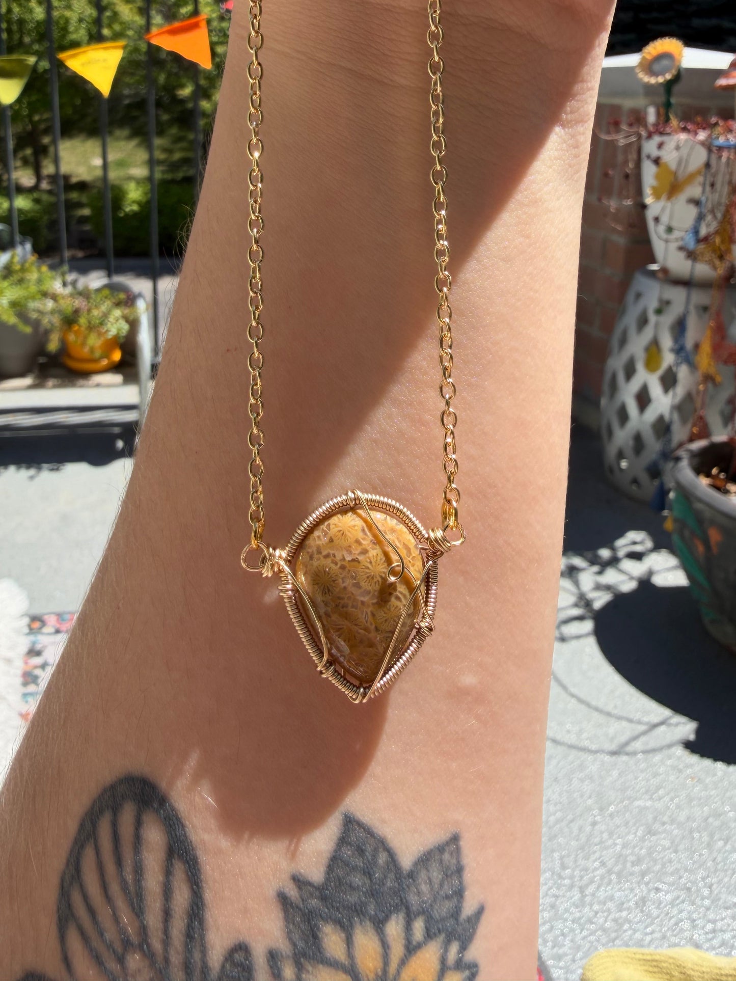 Fossilized Coral