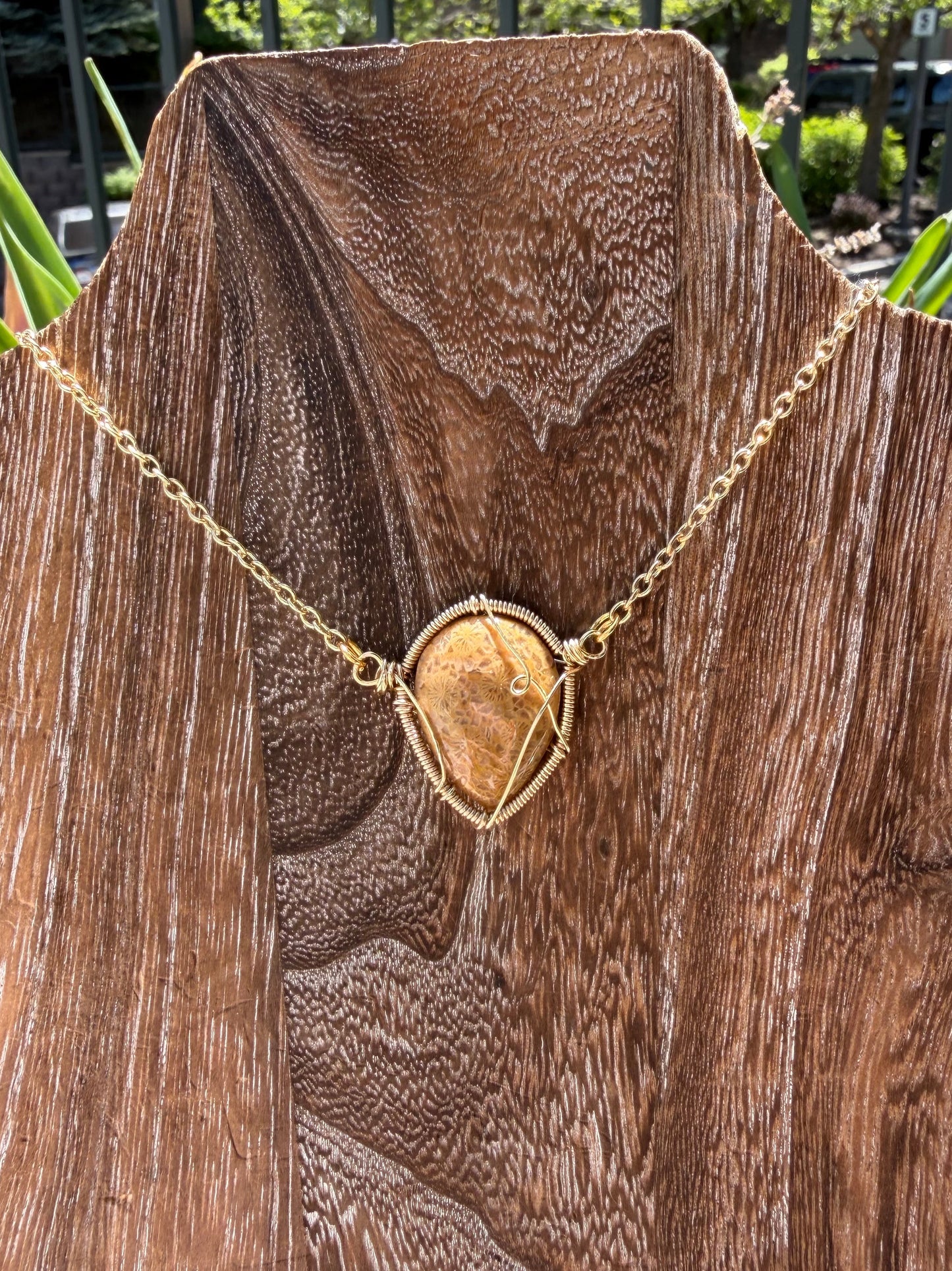 Fossilized Coral