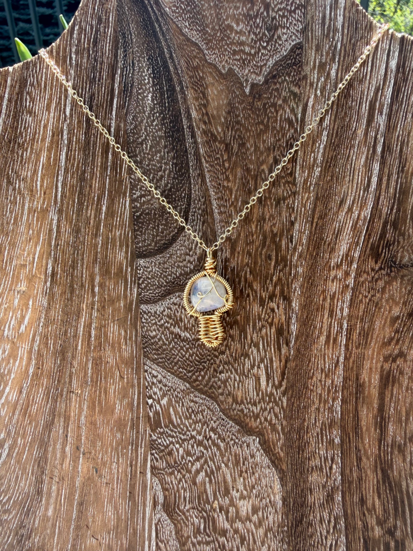 Moonstone mushroom🍄