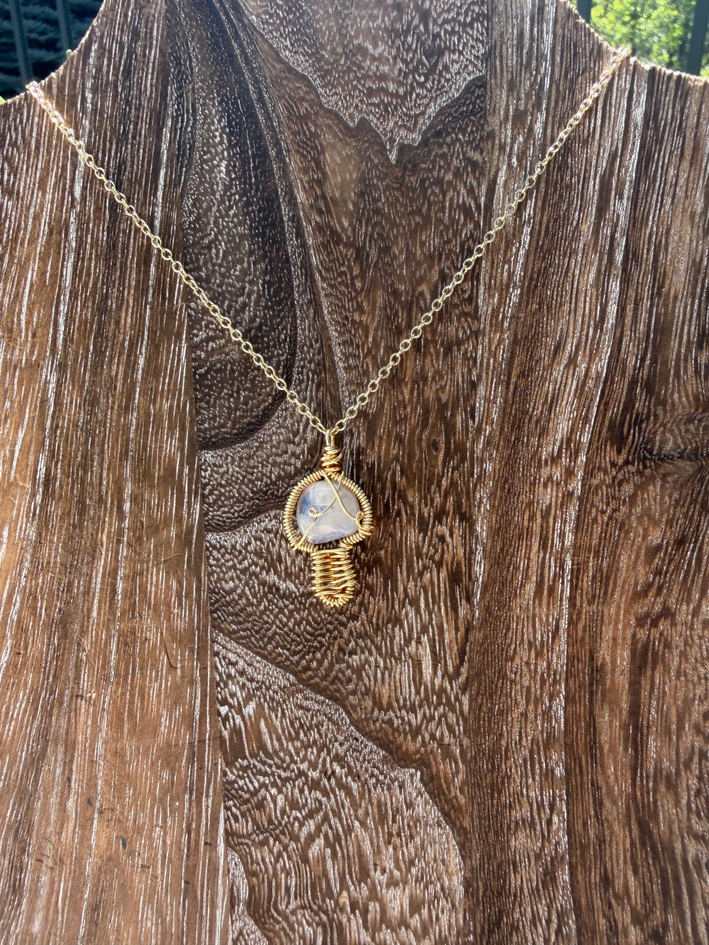 Moonstone mushroom🍄